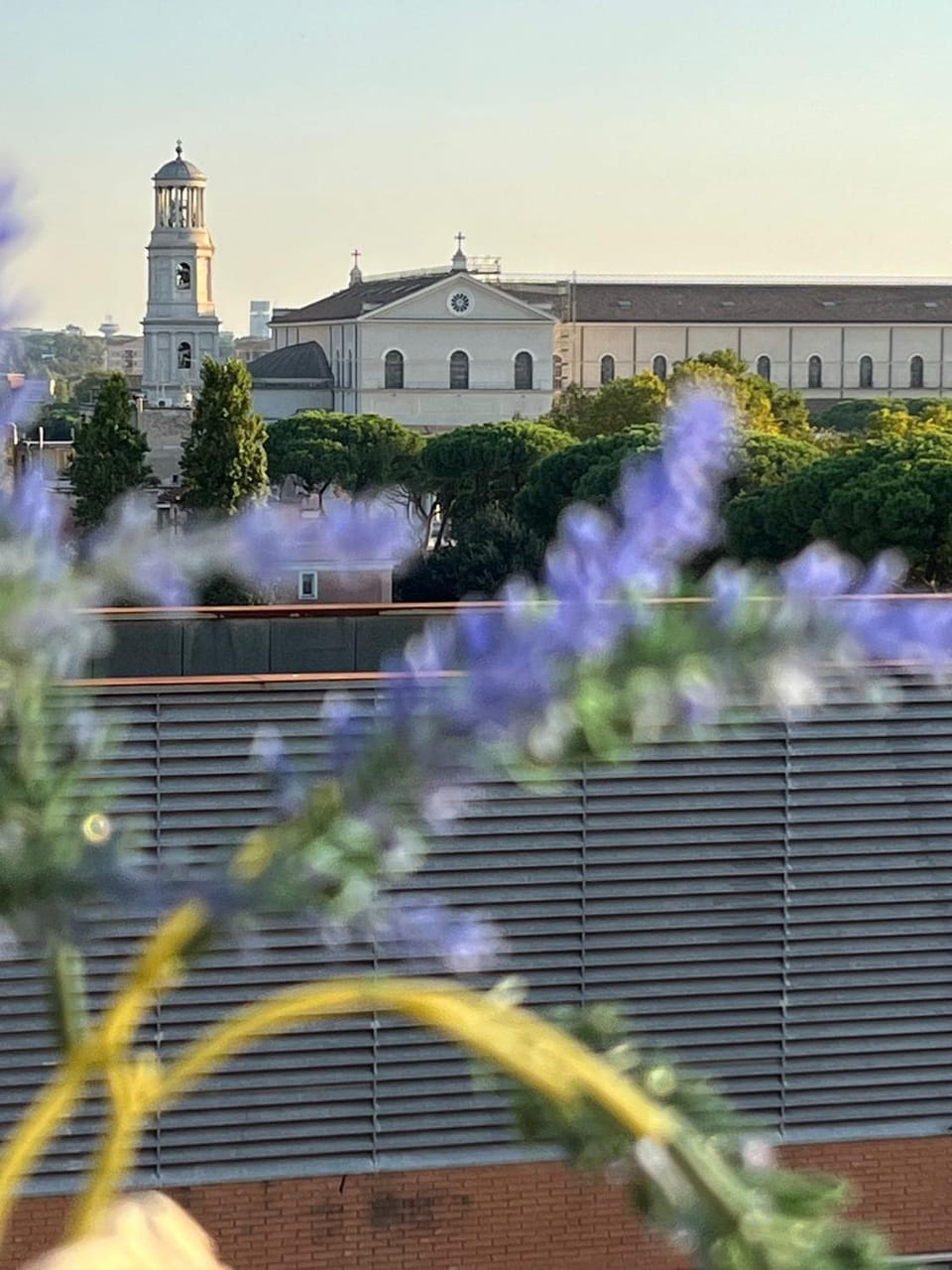 Day, Garden view