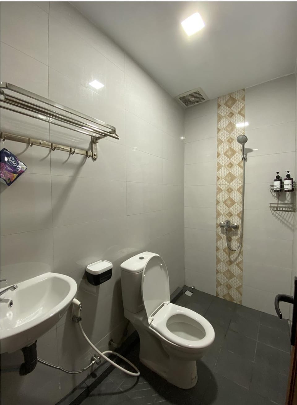 Shower, Toilet, Bathroom, bidet