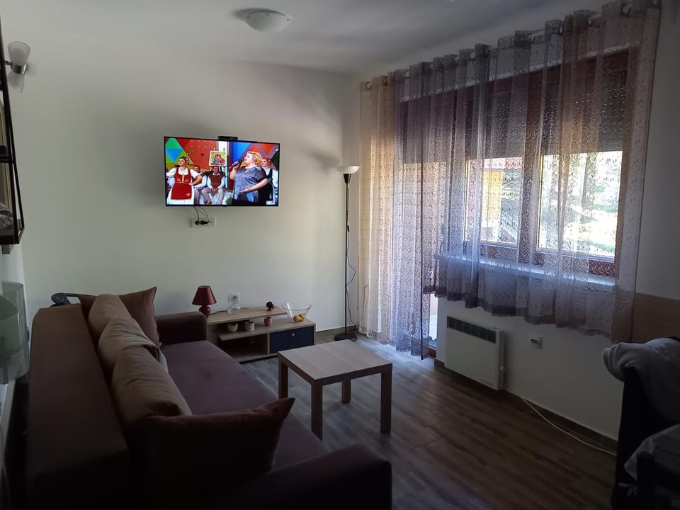 Savić Tara Apartment in Zlatibor District, Serbia
