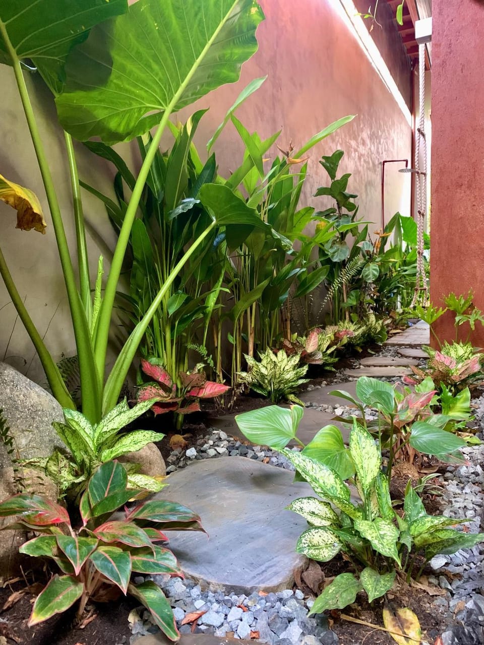 Garden, Garden
