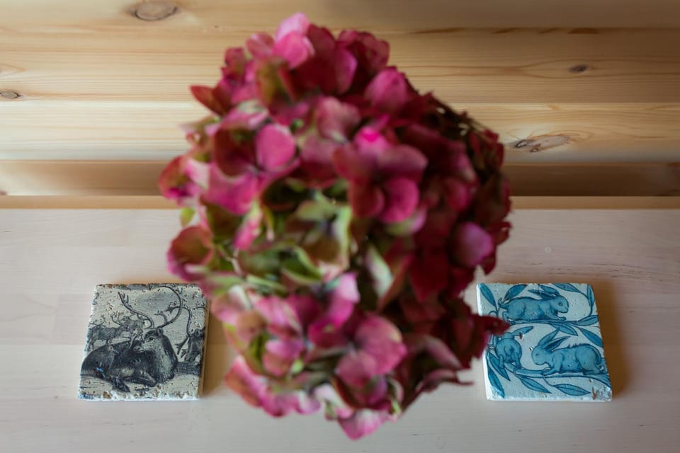 Kilbane Glamping Nature lodge in County Clare