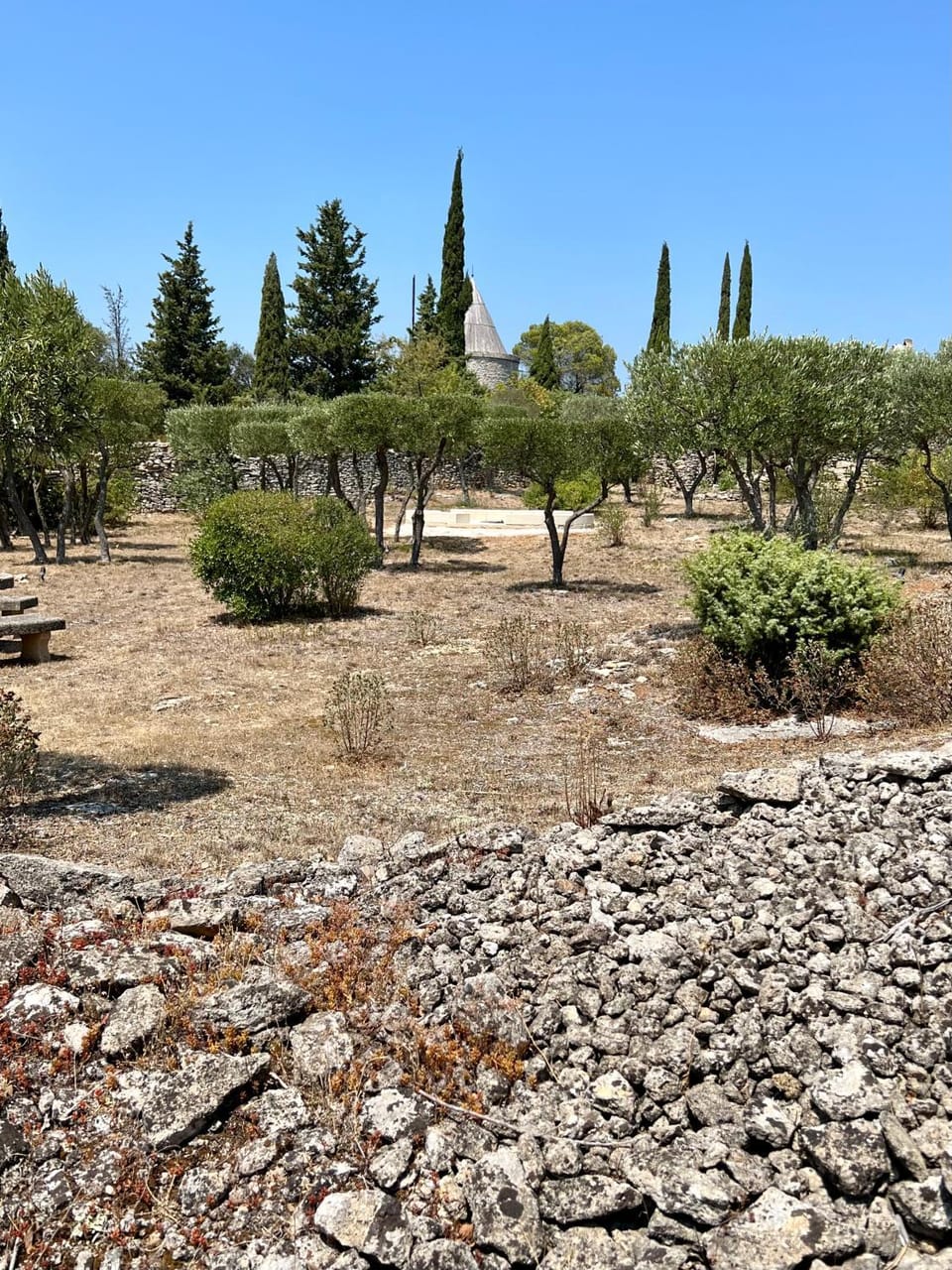 Day, Natural landscape, Garden, Garden view