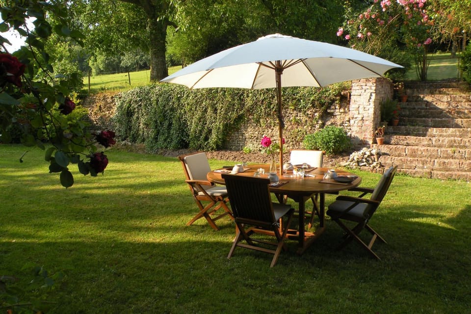 Summer, Garden, Other