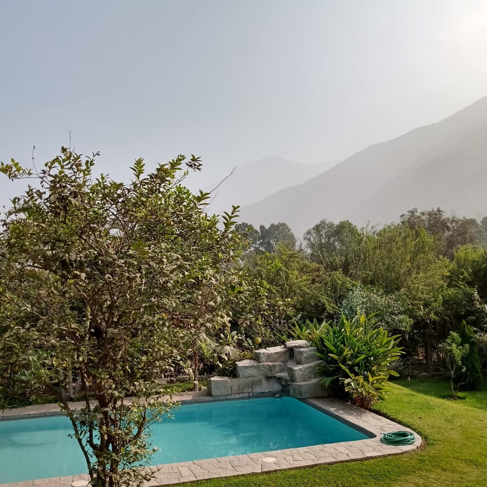 Garden, Mountain view