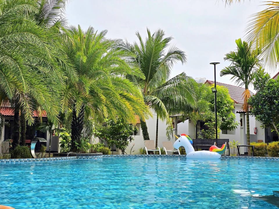 Garden, Pool view, Swimming pool