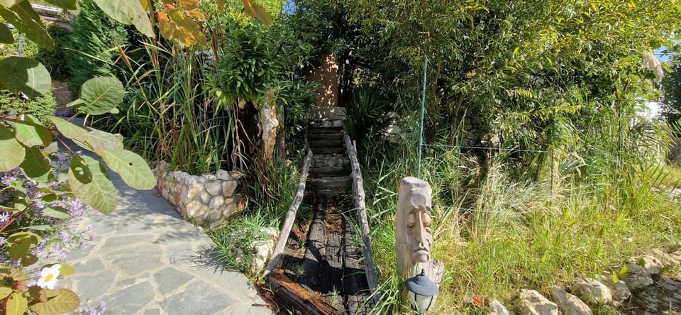 Garden view