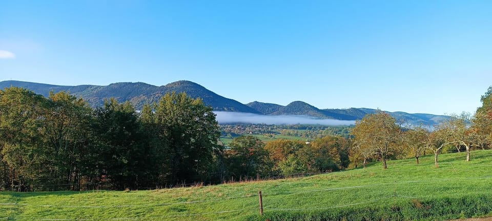 Mountain view