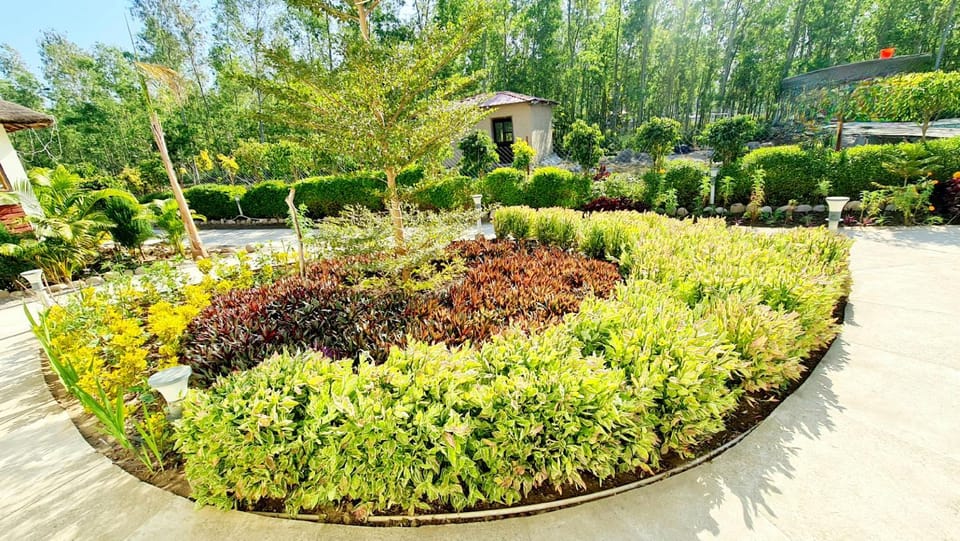 Garden view