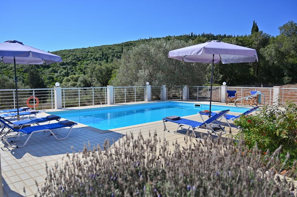 Natural landscape, Mountain view, Swimming pool, sunbed