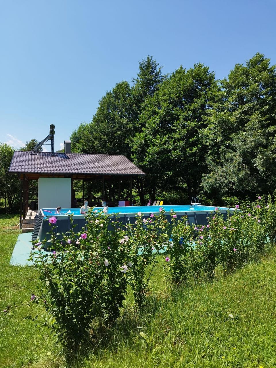 Swimming pool