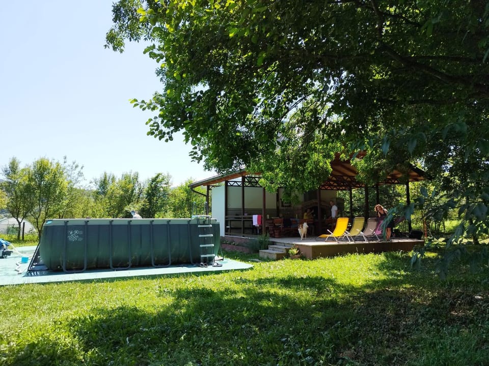 Spring, Day, Natural landscape, Garden view, Swimming pool