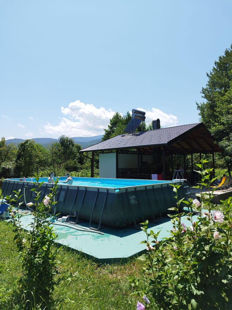 Day, Natural landscape, Pool view, Swimming pool