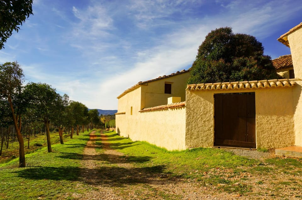 Property building, Garden view