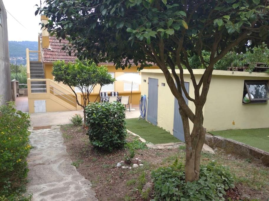 Property building, Garden, Garden view