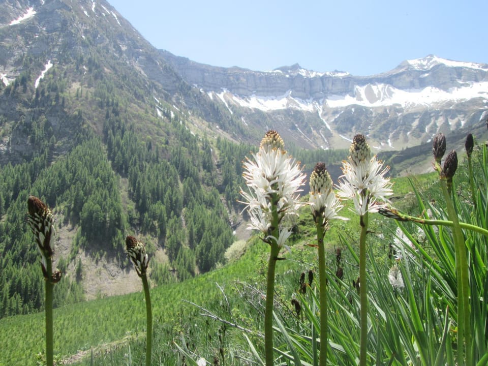 Nearby landmark, Staff, Spring, Off site, Day, Natural landscape, Activities, Other, Hiking
