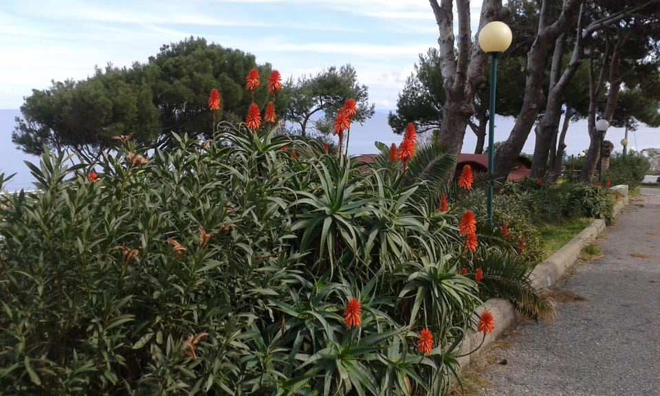 Garden, Garden