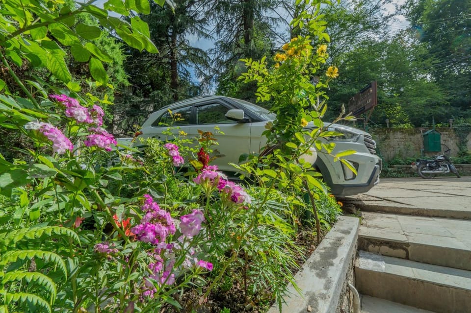 Day, Garden view