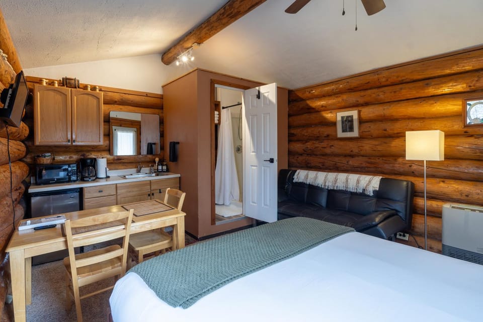 Shower, Bed, Bathroom, Kitchen or kitchenette, Photo of the whole room, Seating area
