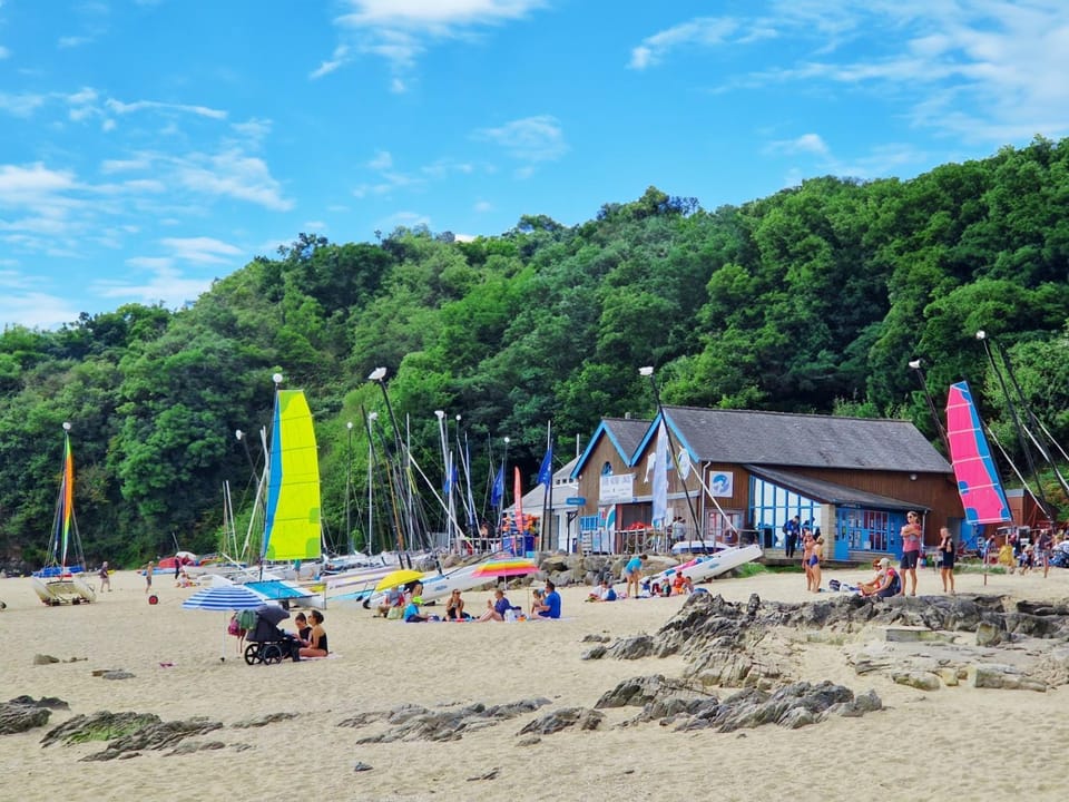 Activities, Beach, Windsurfing