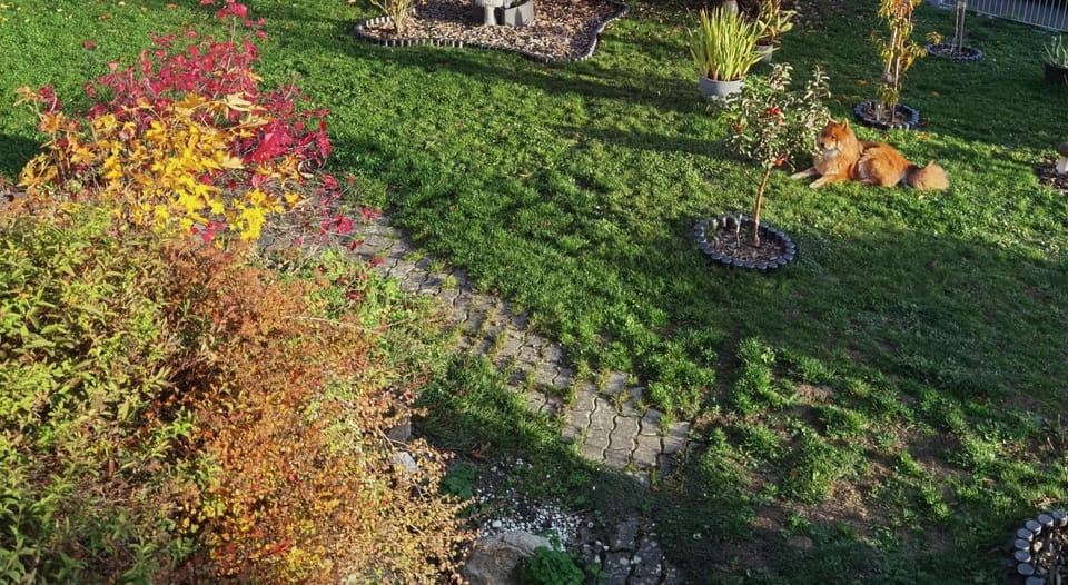 Property building, Garden, Garden view
