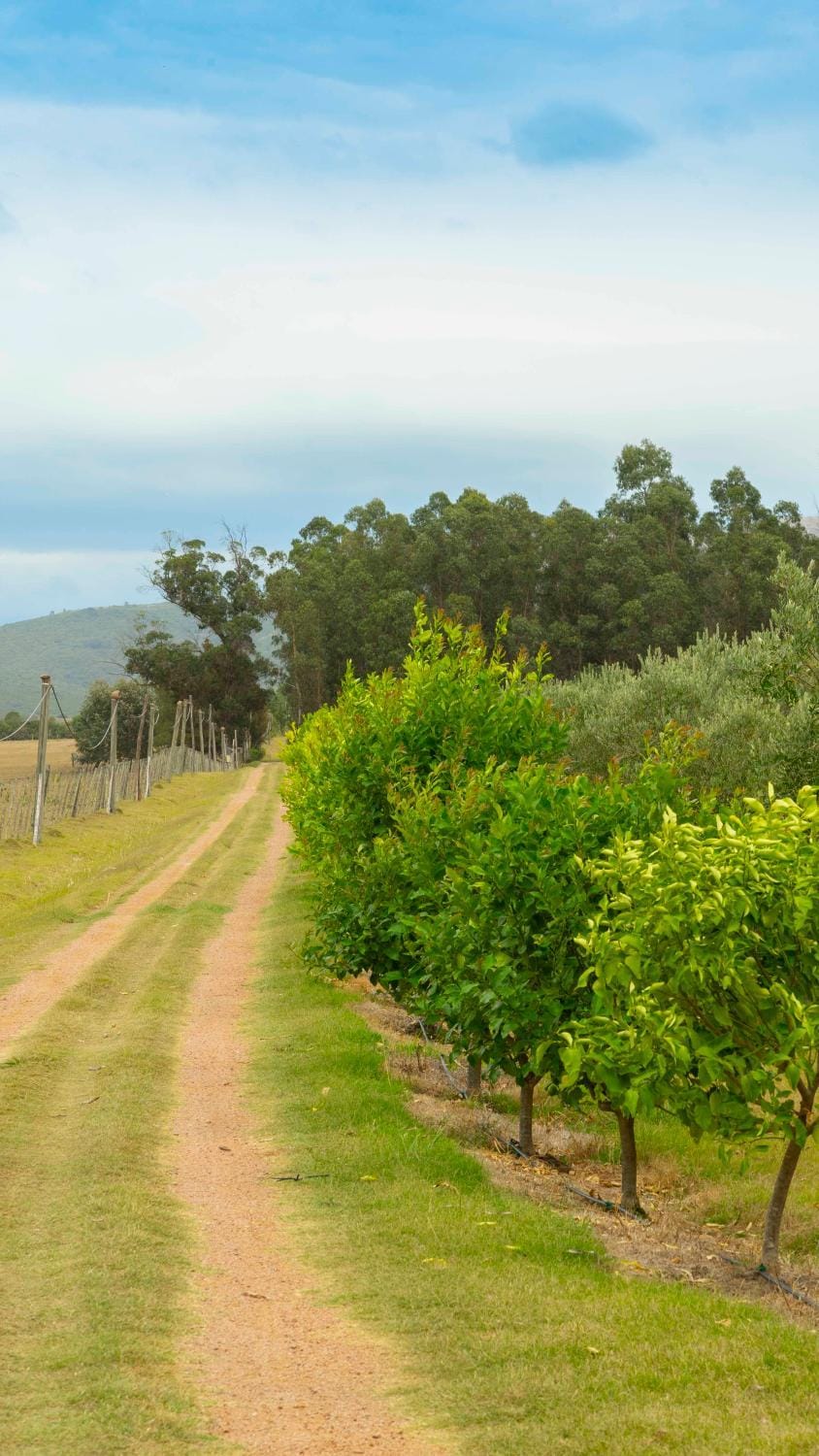 Natural landscape