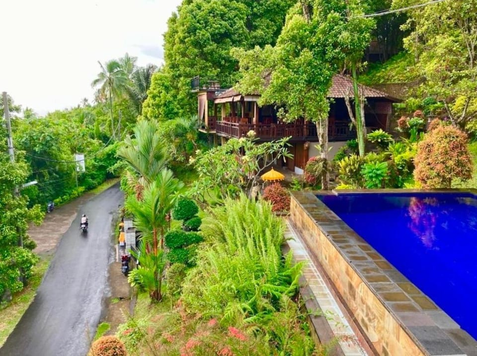 Day, Garden, Swimming pool