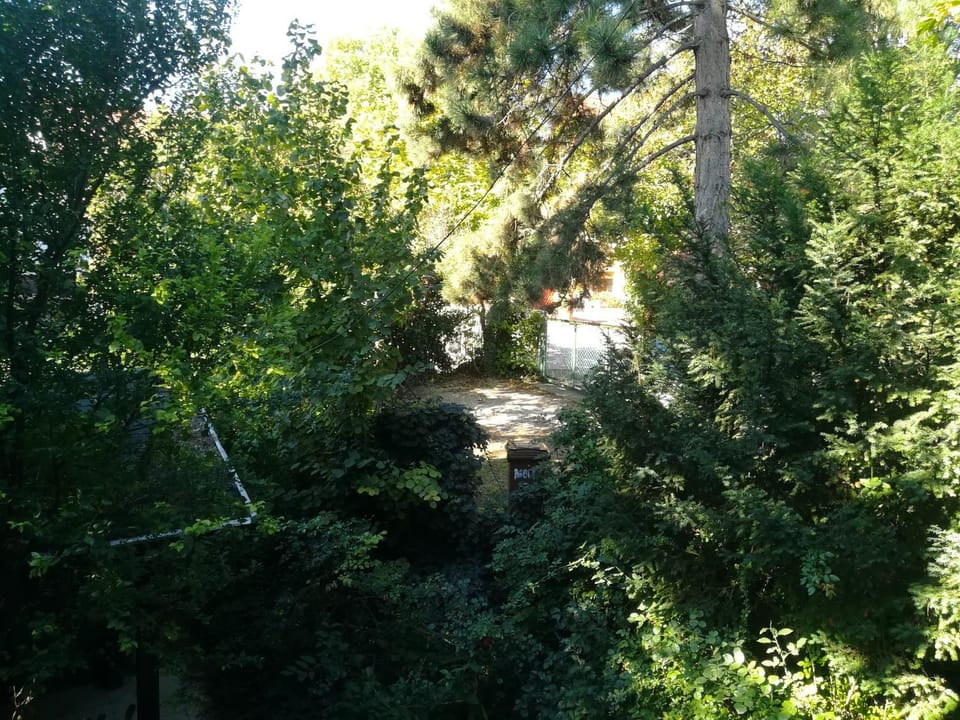 Inner courtyard view