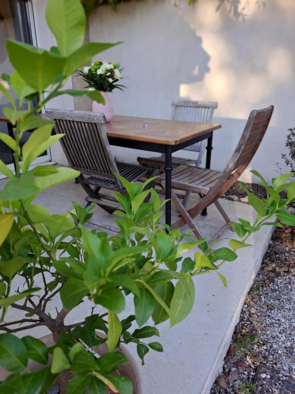 Patio, Garden, Dining area