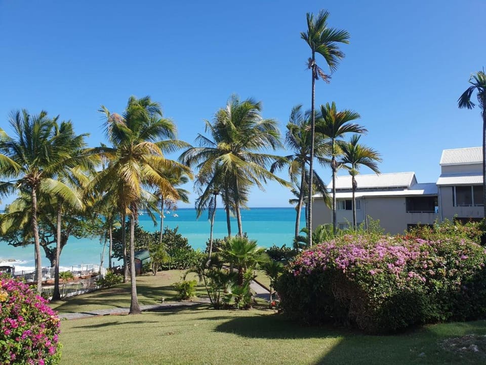 Garden view, Sea view