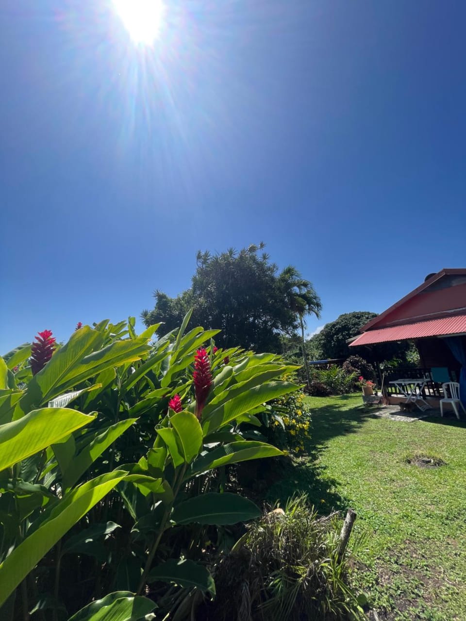 Eden Créole Country House in Leeward Islands