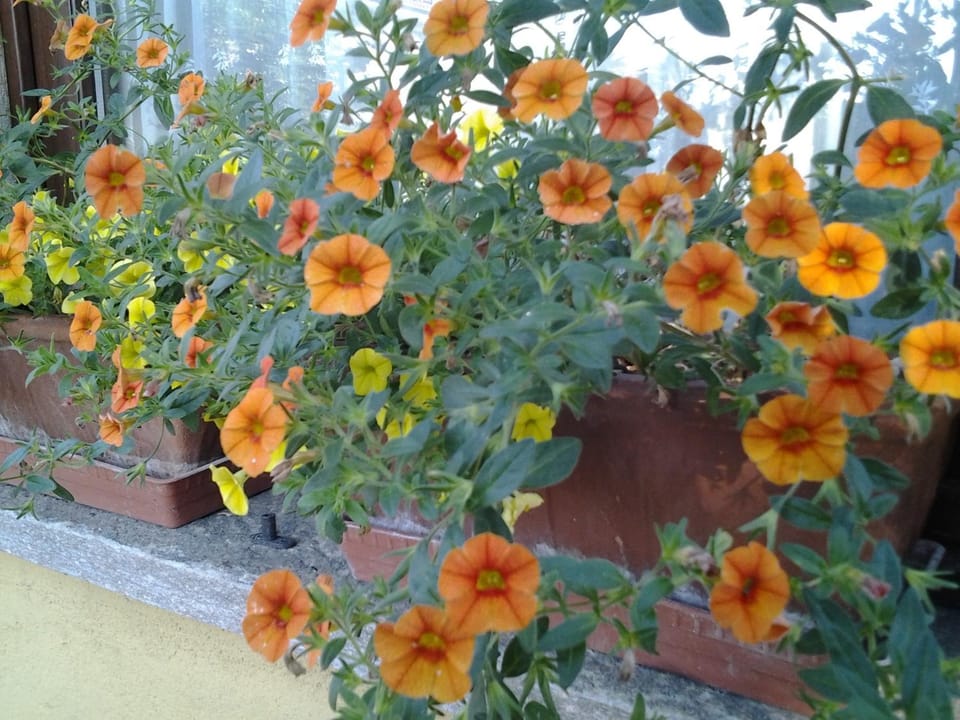 B&B Casa Dolce Casa Bed and Breakfast in Piedmont