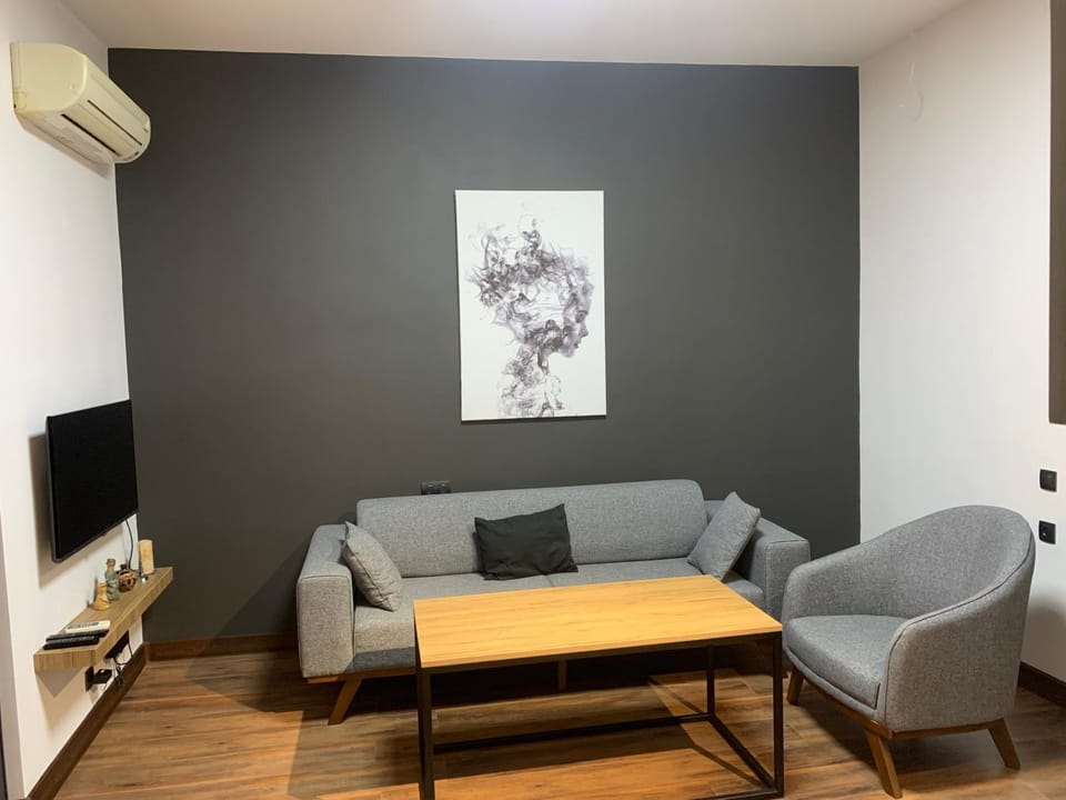 Communal lounge/ TV room, TV and multimedia, Living room, Seating area, air conditioner
