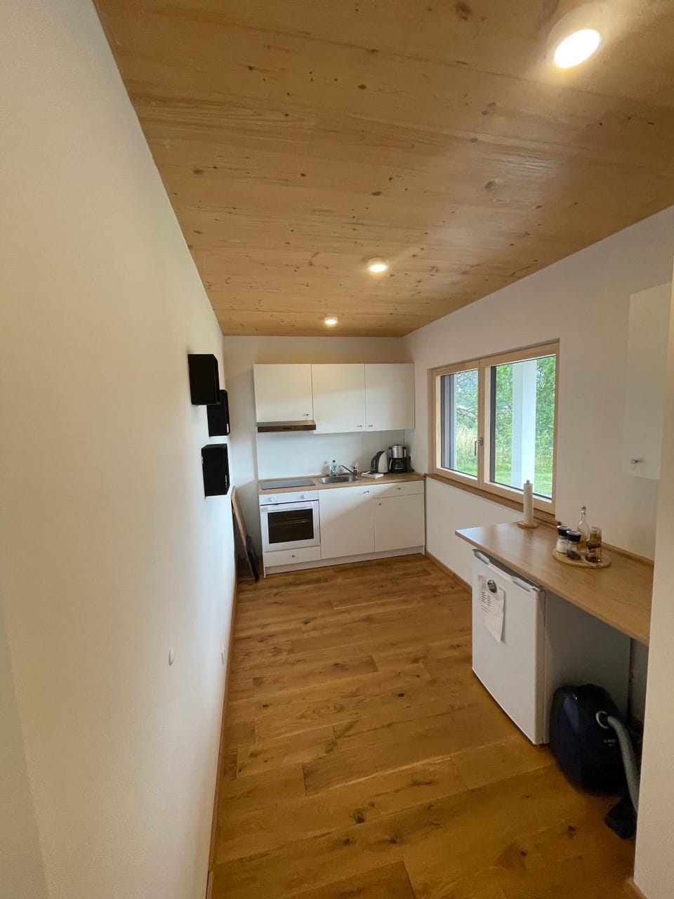 Kitchen or kitchenette, kitchen