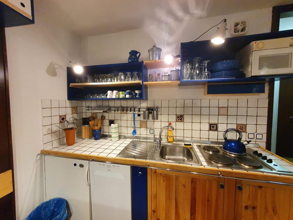 Kitchen or kitchenette, dishwasher, minibar, stove