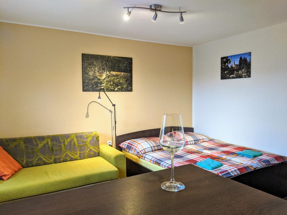 Bed, Living room, Photo of the whole room, Bedroom, Alcoholic drinks