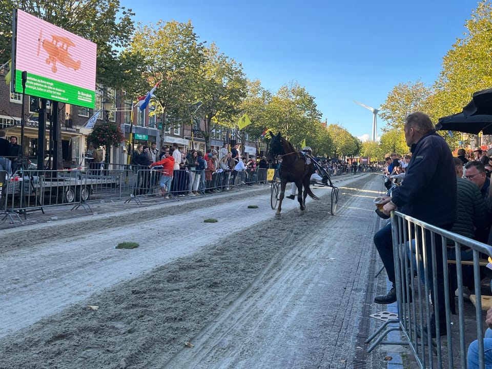Day, People, Horse-riding, Animals, group of guests
