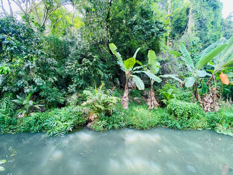 Natural landscape, Lake view