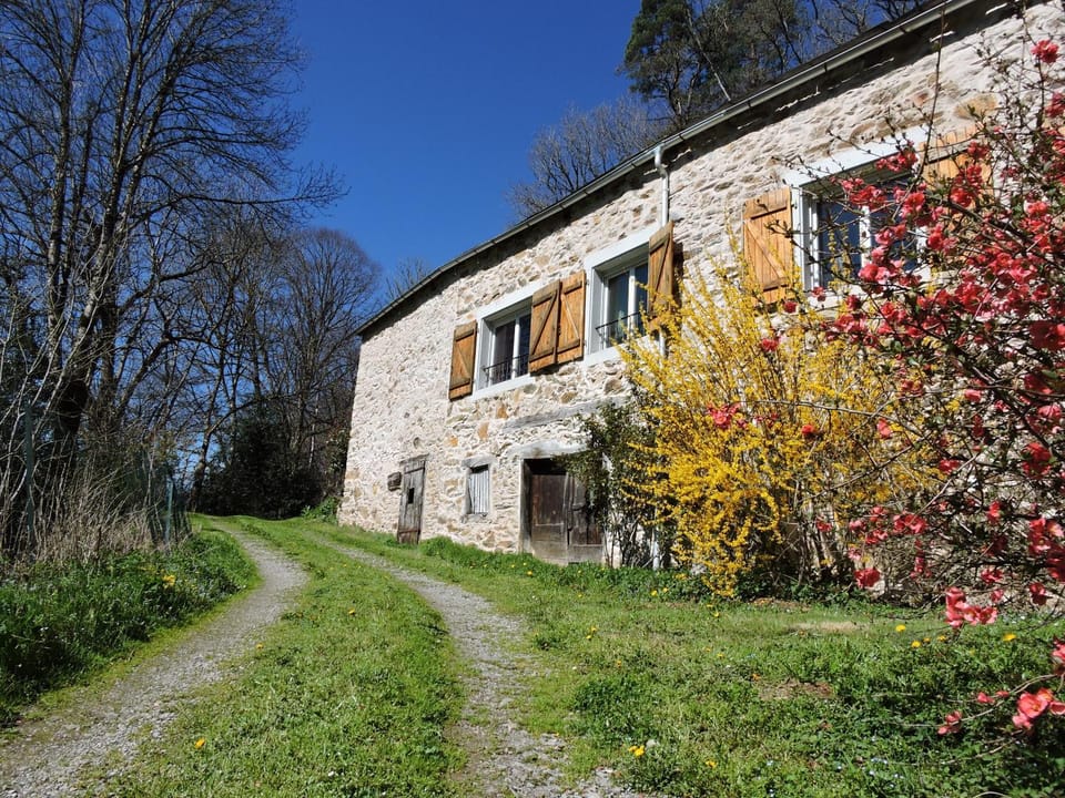 Natural landscape, Garden, Garden view