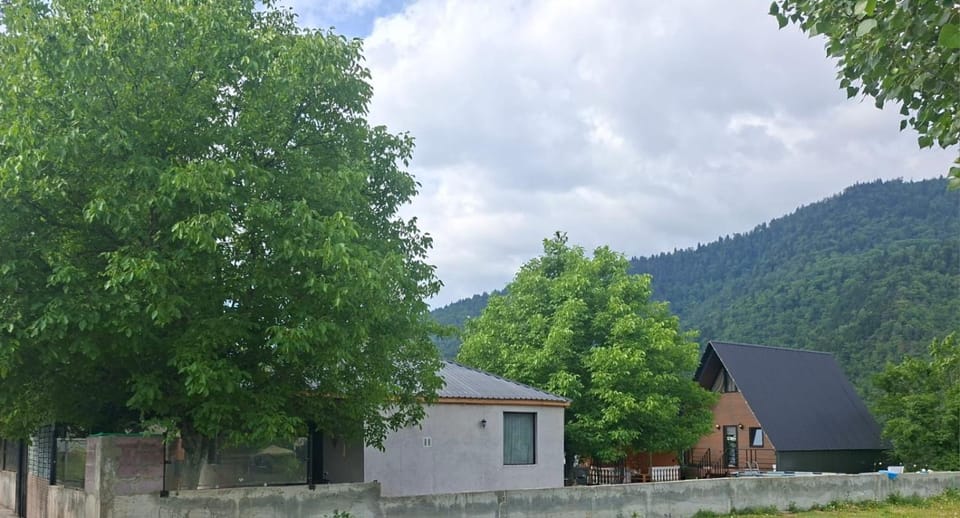 Kesi’s House Villa in Georgia