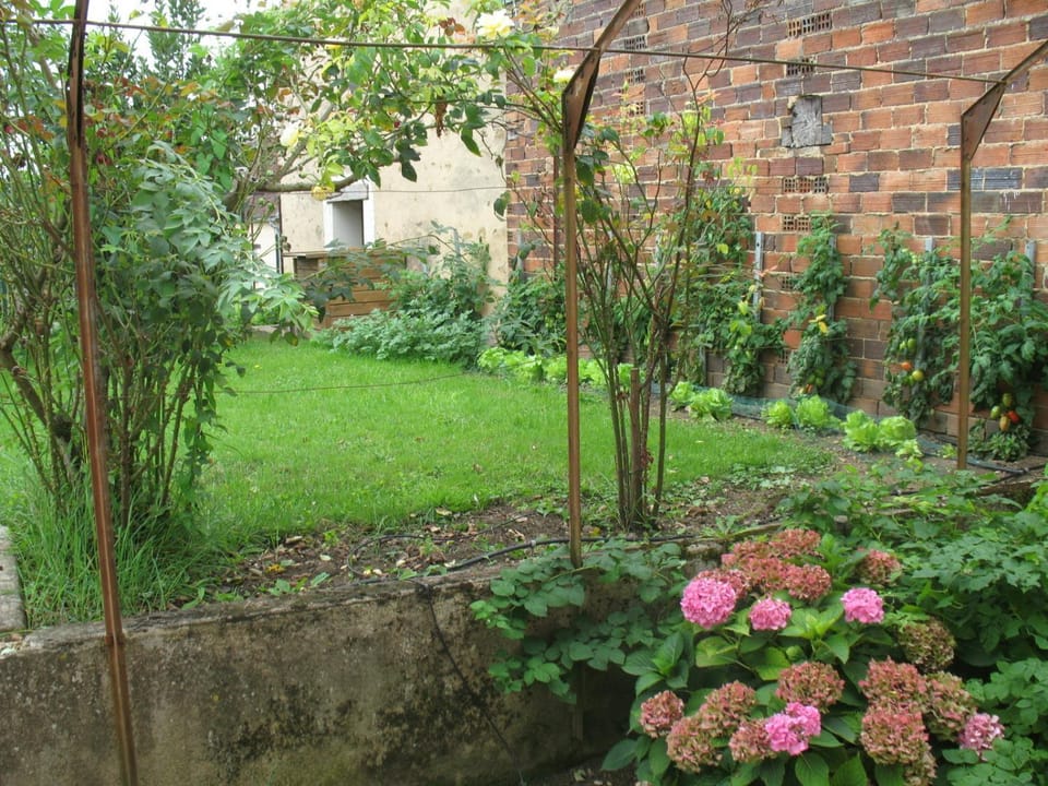 Garden, Balcony/Terrace