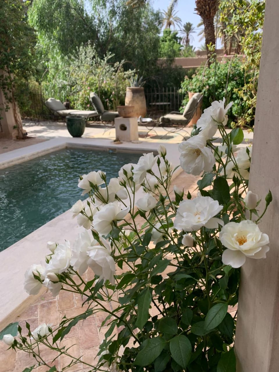 Spring, Garden view, Pool view