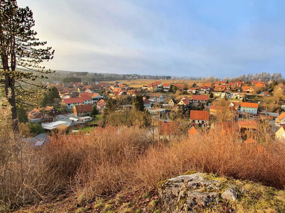 Neighbourhood