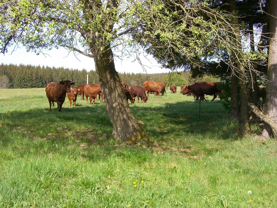 Neighbourhood