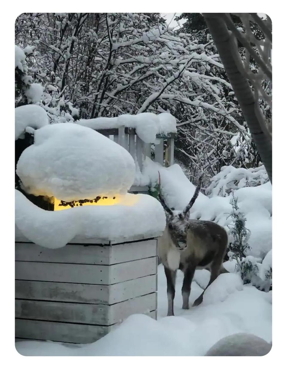 Property building, Winter