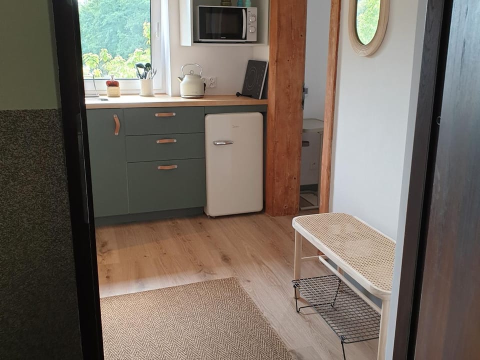 Kitchen or kitchenette, minibar, pet friendly, stove