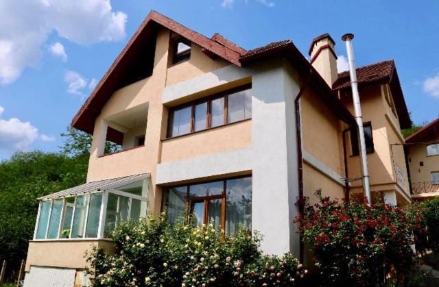 Pensiunea Ambiance Bed and Breakfast in Romania