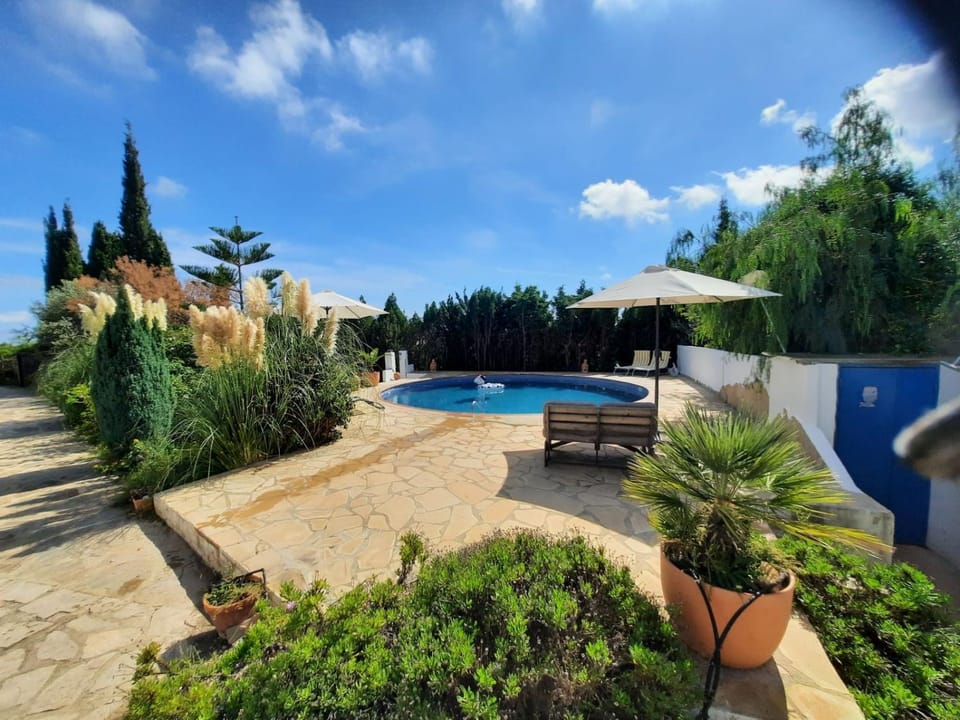 Garden, Garden view, Pool view, Swimming pool, sunbed