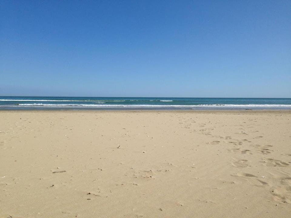 Off site, Other, Other