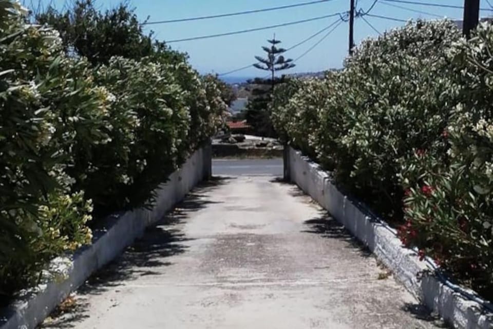 Facade/entrance, Day, Garden view