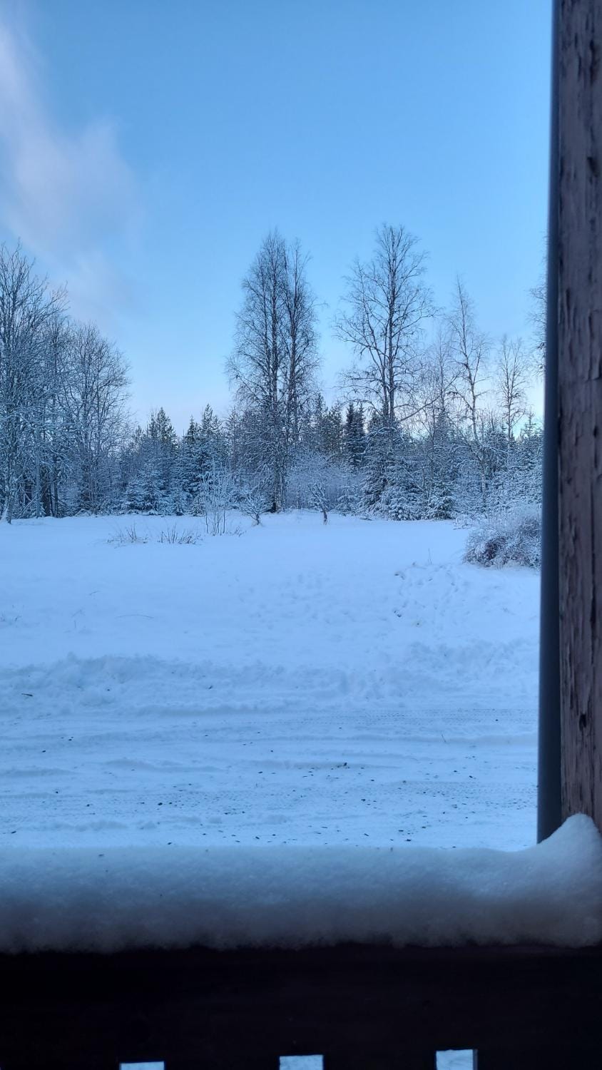 Natural landscape, Winter, Garden view